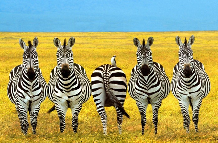 360° zpětná vazba